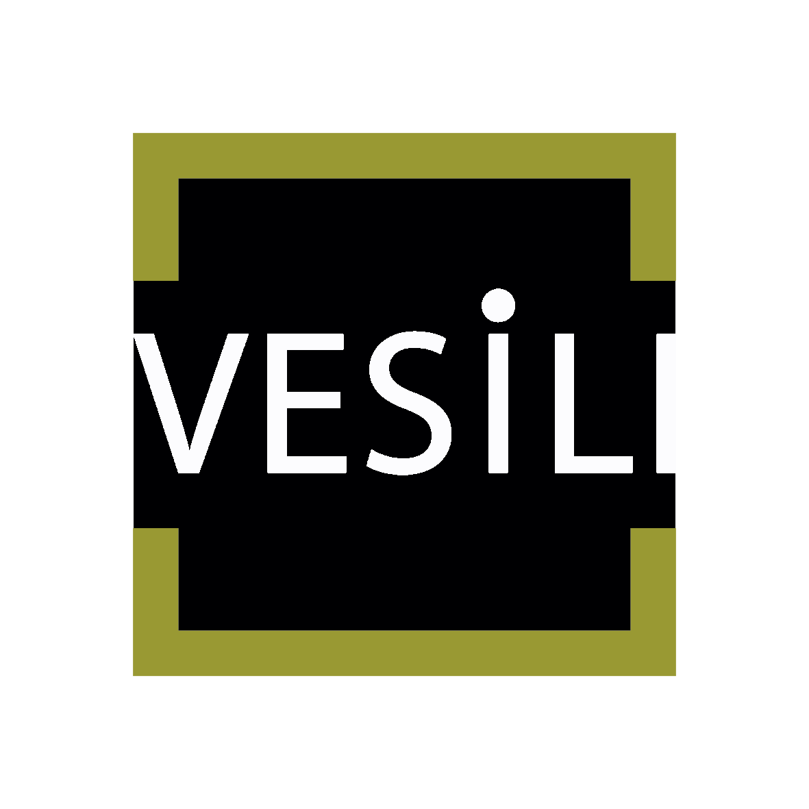 VESiLI